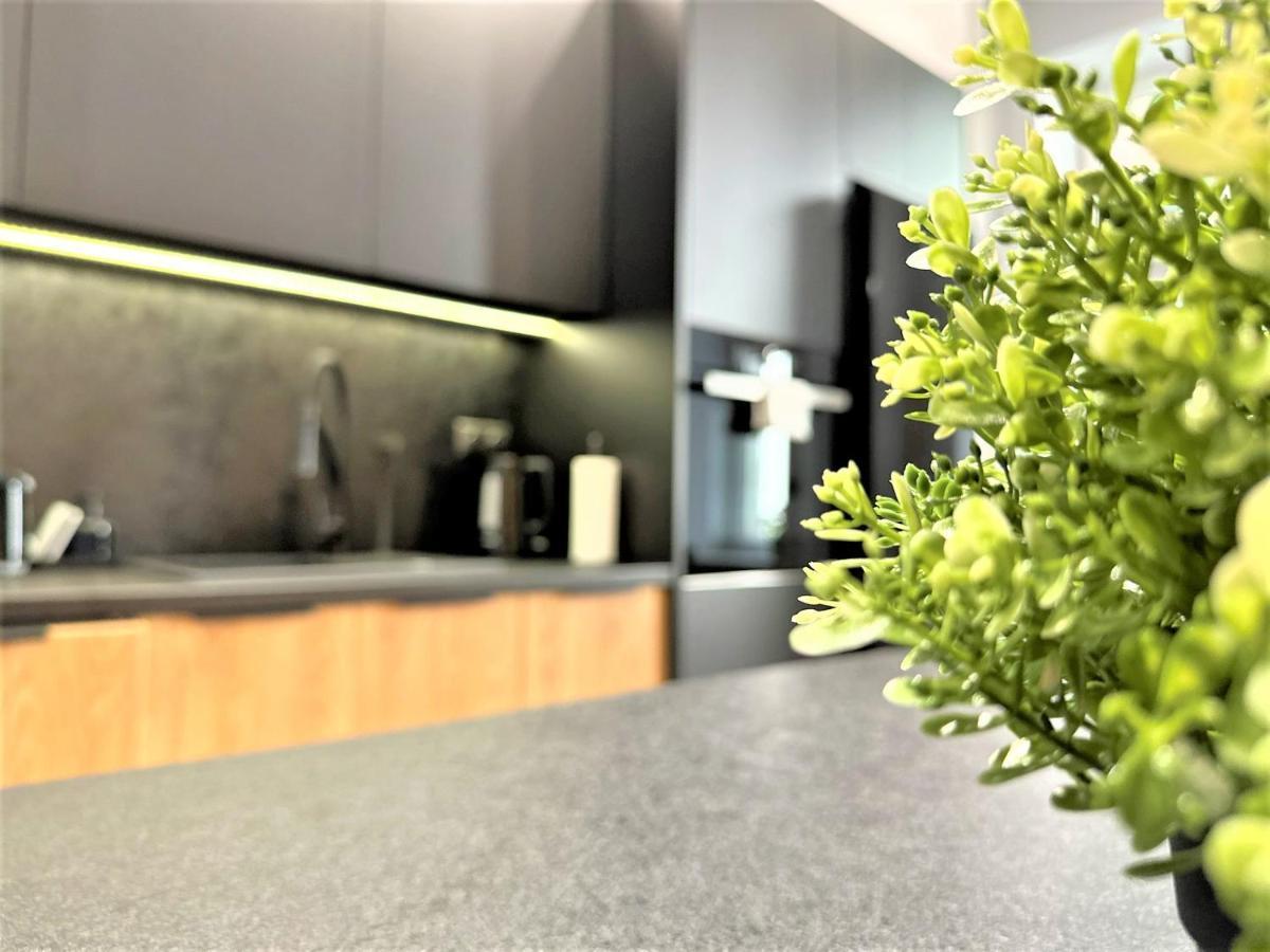 Luxury 100M2 Loft Design-Apartment At Wawel + Netflix Kraków Zewnętrze zdjęcie